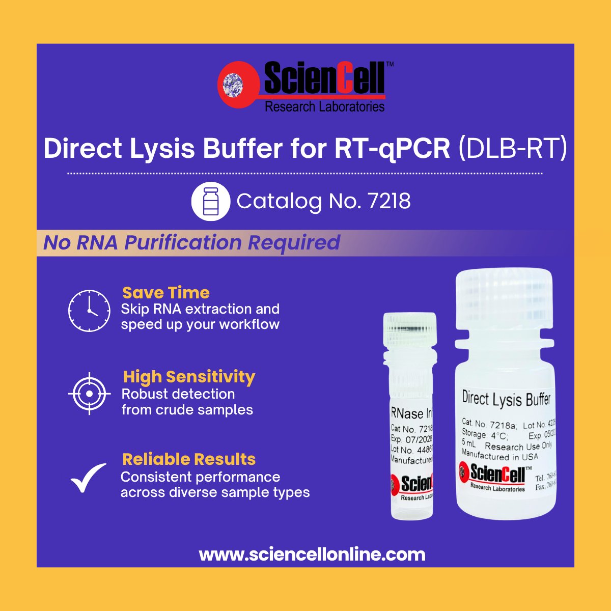 sciencell's tweet photo. 🧬 Skip RNA purification. Go from cells to RT-qPCR in under 15 minutes with ScienCell DLB-RT (Cat. #7218). Directly lyse 100–50,000 cells/reaction for streamlined one- or two-step RT-qPCR workflows. #RTqPCR #GeneExpression https://t.co/ztFPlXjj2G