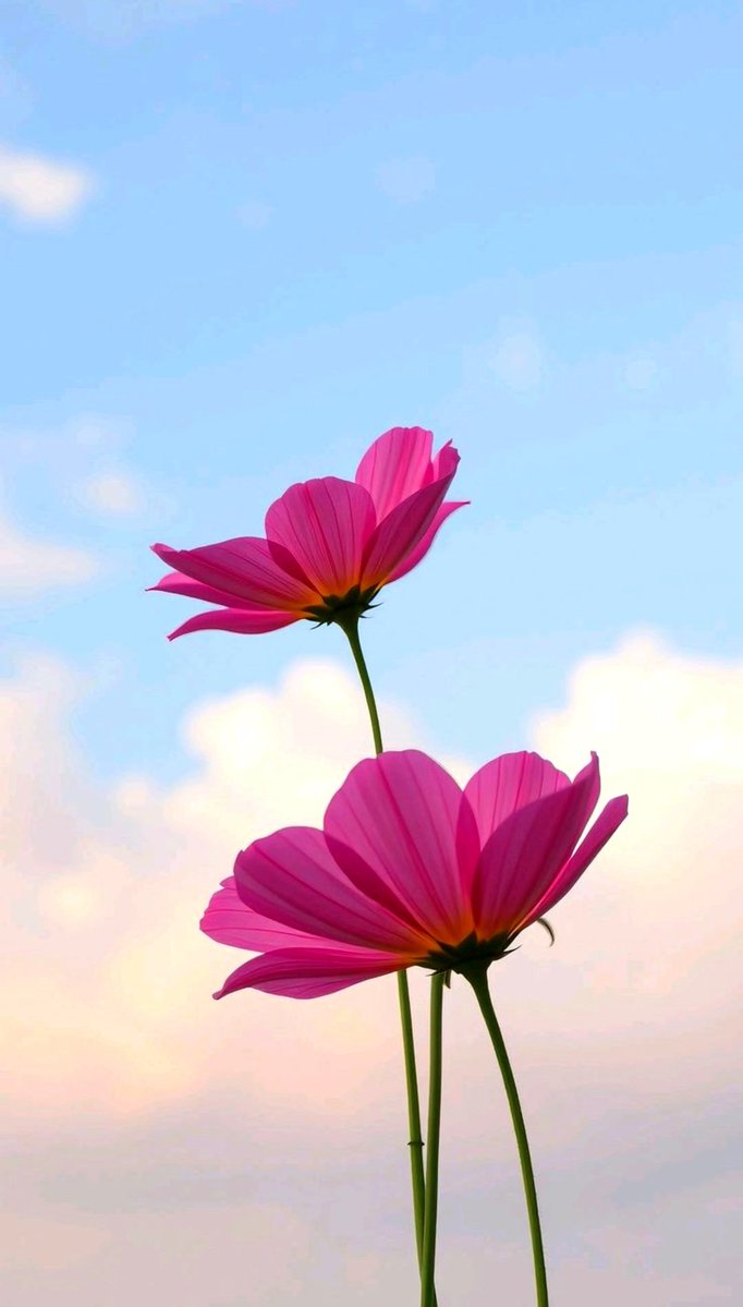 granddays_psy2's tweet photo. おはようございます☕🌿

嬉しいことも
思い通りにならないことも
すべてを糧にして心を豊かに。

人との出会いに気づかされ
言葉に励まされ
時には自分自身を見つめ直す

その一つひとつを糧に
しなやかに穏やかに自分らしく
微笑っていけたらいい

心に正直に

(^^)ｺｺﾛ💕

皆様💐素敵な１日を🍀🕊️ https://t.co/bT3osn4PlH