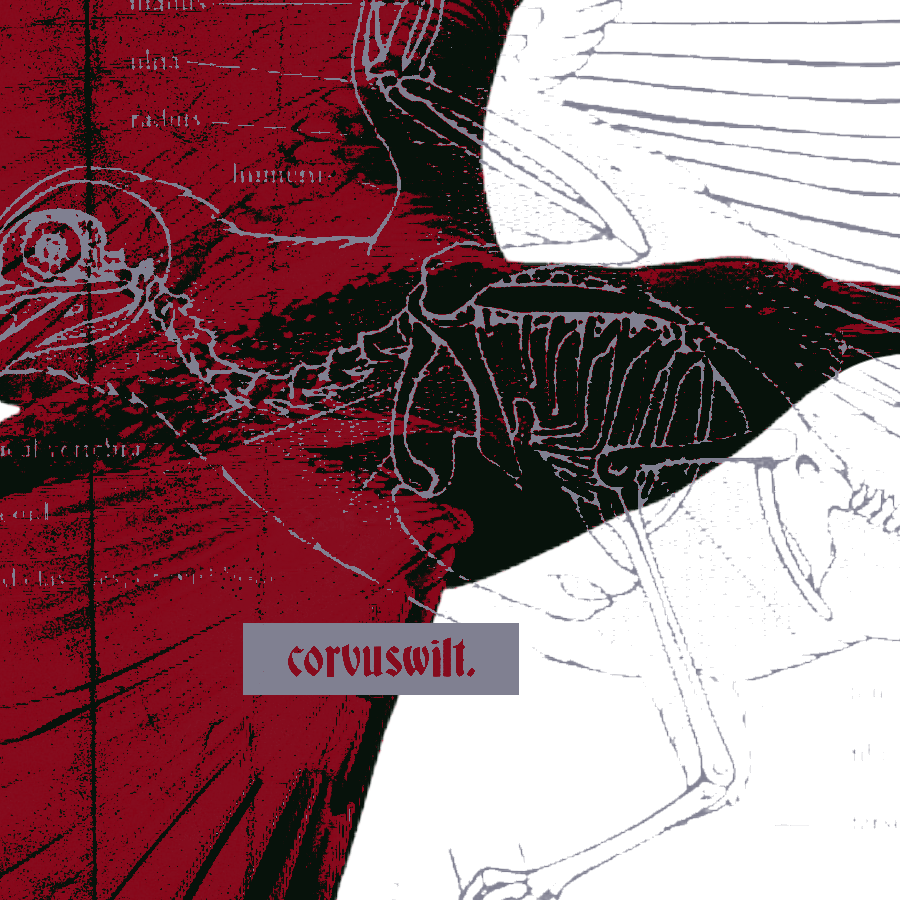 corvuswilt tweet picture