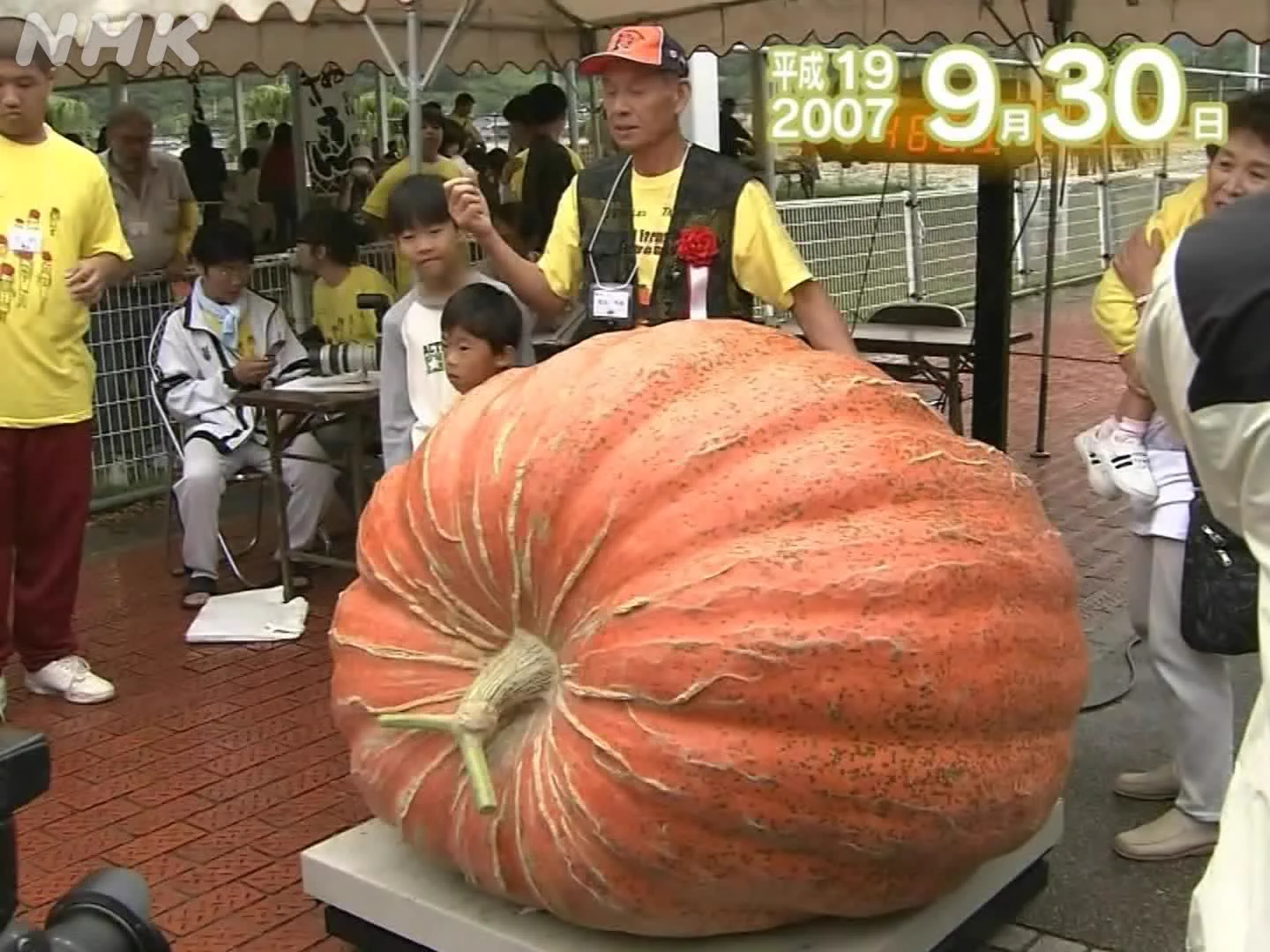 NHKアーカイブス on X: 