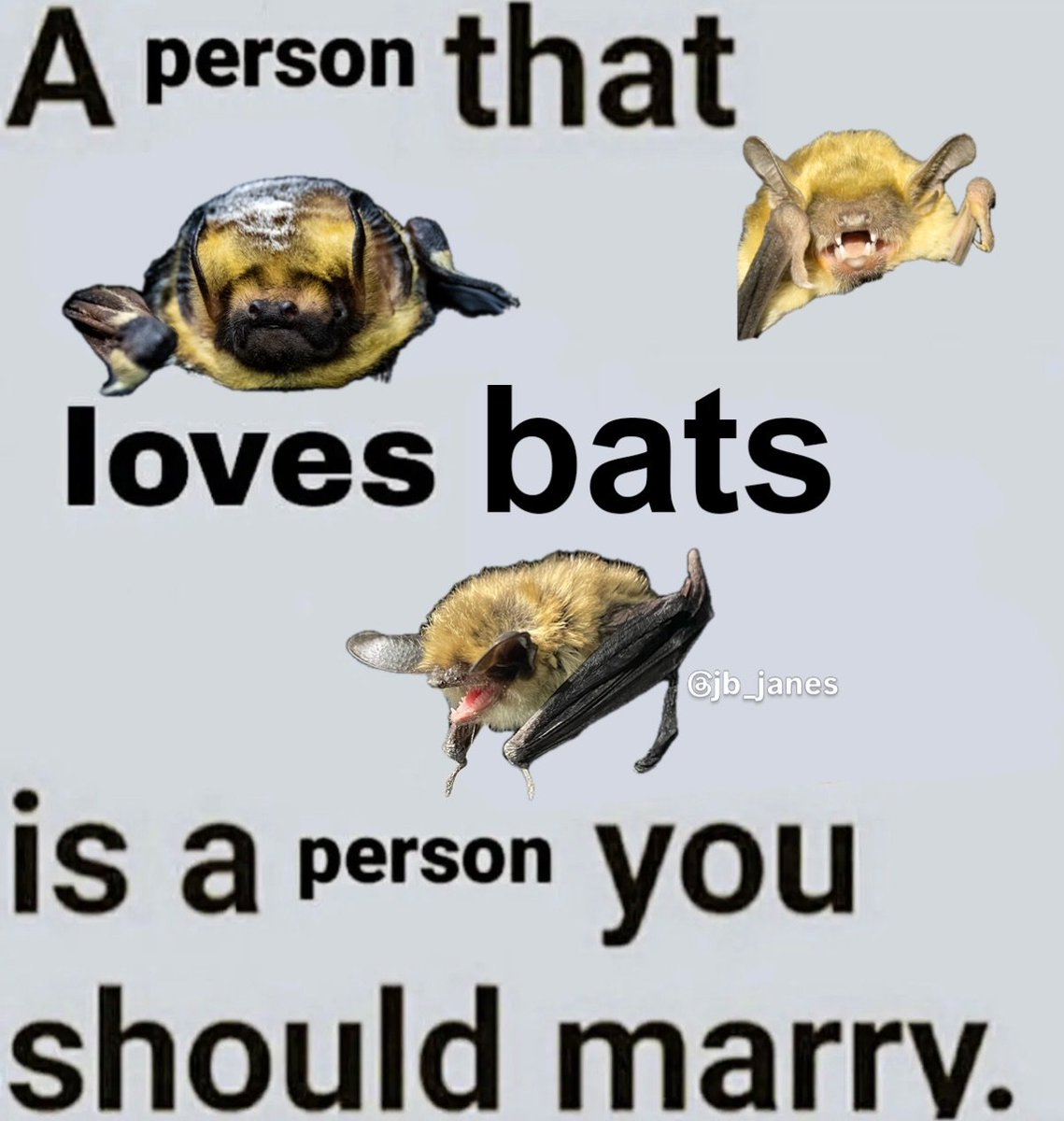 FurryJokerTFF's tweet photo. https://t.co/7laKhBlnXL