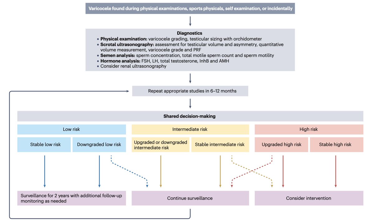 BlitzUro's tweet photo. Check out our @NatRevUrol review on observation or treatment of pediatric varicoceles. We provide a risk-stratification schema that can inform clinical decision-making. https://t.co/iNIr3jILJJ

@CleClinicUro @lynnlwoo @JHannickMD @ScottLundyMDPhD @jweave2925 https://t.co/64Rha1BoNR