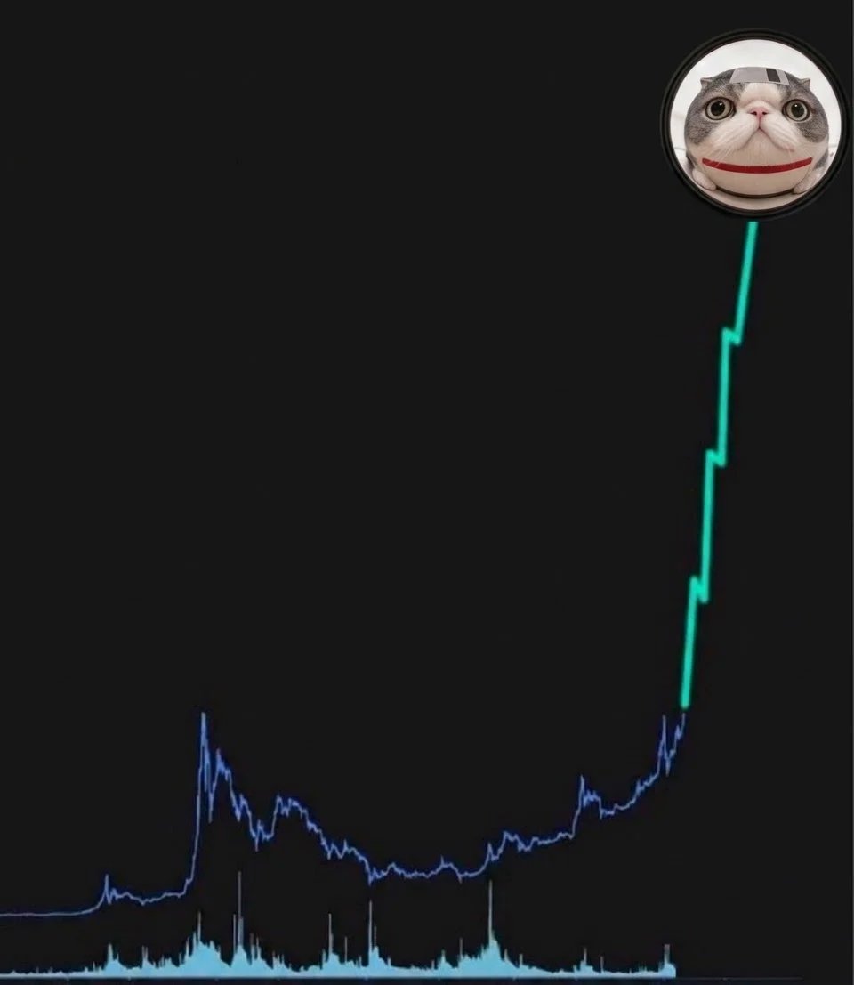 vicdelarge's tweet photo. @S0Lmay0r $FLOPPY is so undervalued and so overlooked, people will turn and see when they're sidelined https://t.co/Nd8CDCeBsL