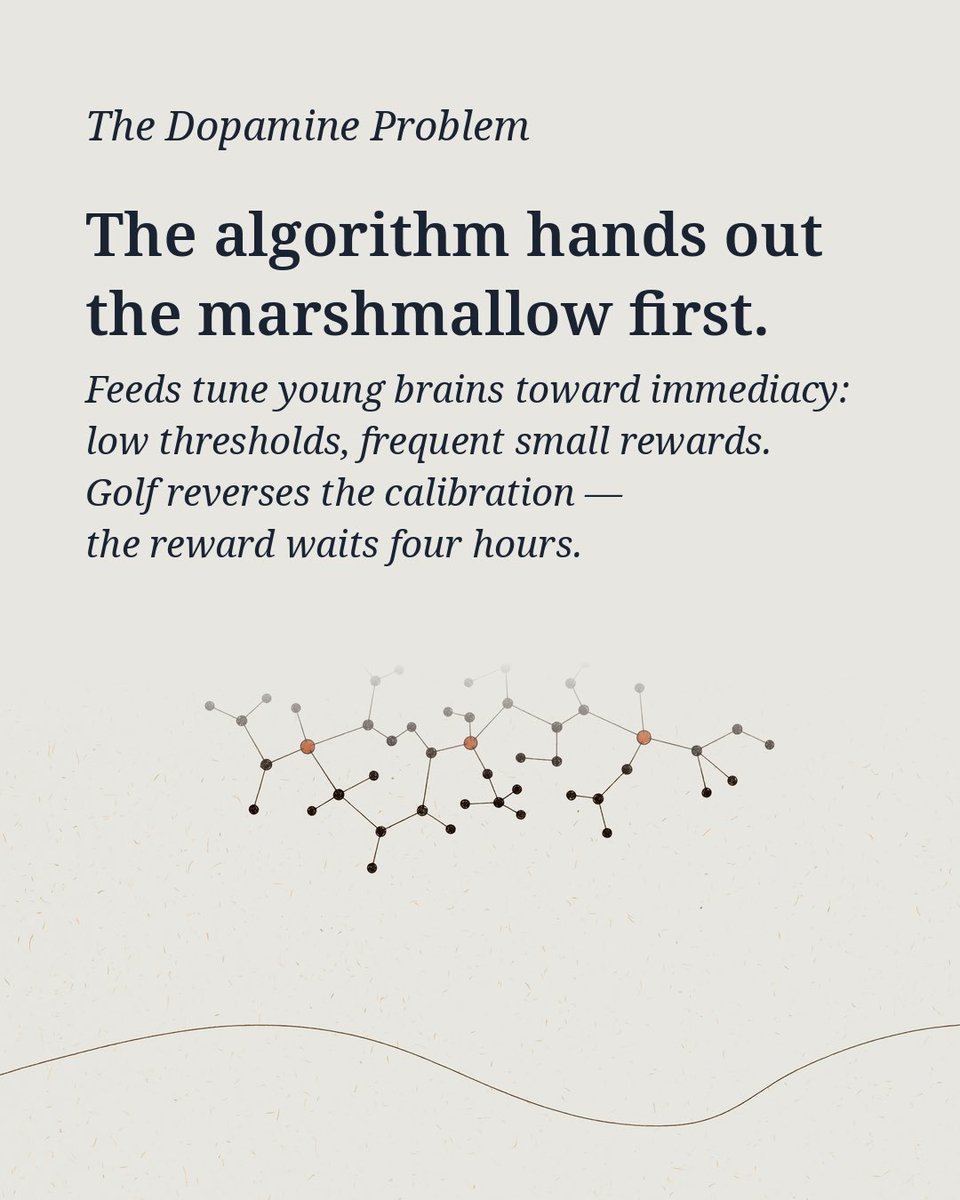 TheLongBecoming's tweet photo. The algorithm hands out the marshmallow first. Golf makes a child wait four hours for it.

Feeds tune young brains toward immediacy. Golf tunes them back — fail, process, continue.

The neural architecture of resilience, built one round at a time. 🧵 https://t.co/BBHUTDfeyT