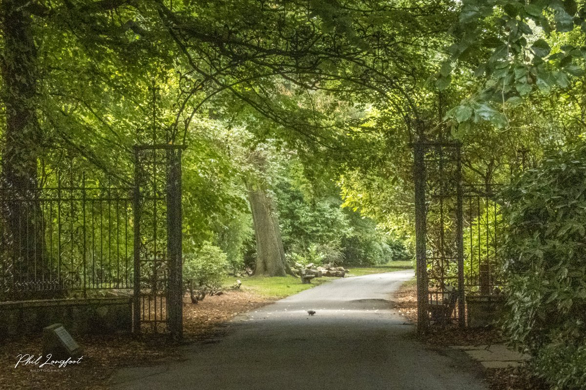 p_longfootphoto's tweet photo. Calderstone Parks Liverpool 
@CaldiesSaved @CaldiesPark @LiverpoolParks @angiesliverpool @YOLiverpool @LiverpoolTweeta @Beau_Liverpool @LivEchonews https://t.co/SvV8ZTIHGv