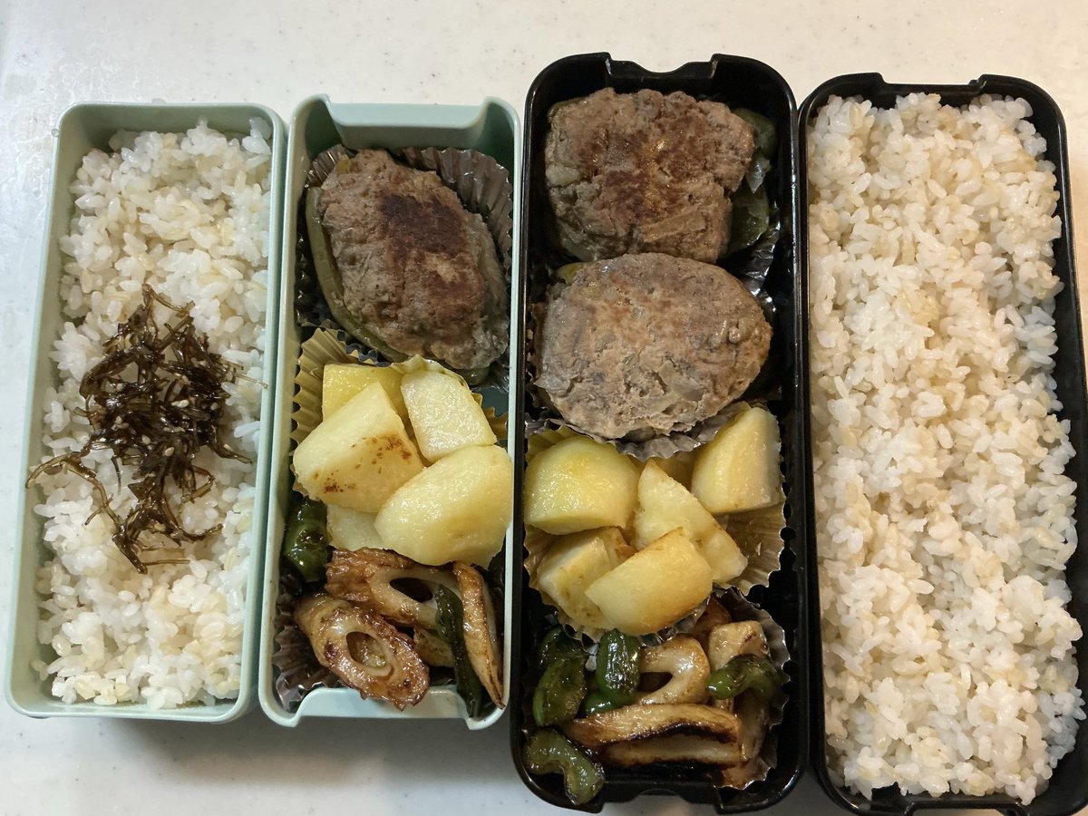 Englishcoachnao's tweet photo. 今日からお弁当二人分。
なんか彩がありませんが…お弁当任務達成🫡
メインはピーマンの肉詰め🫑
眠い🥱💤 https://t.co/GF8HFXI0Hl