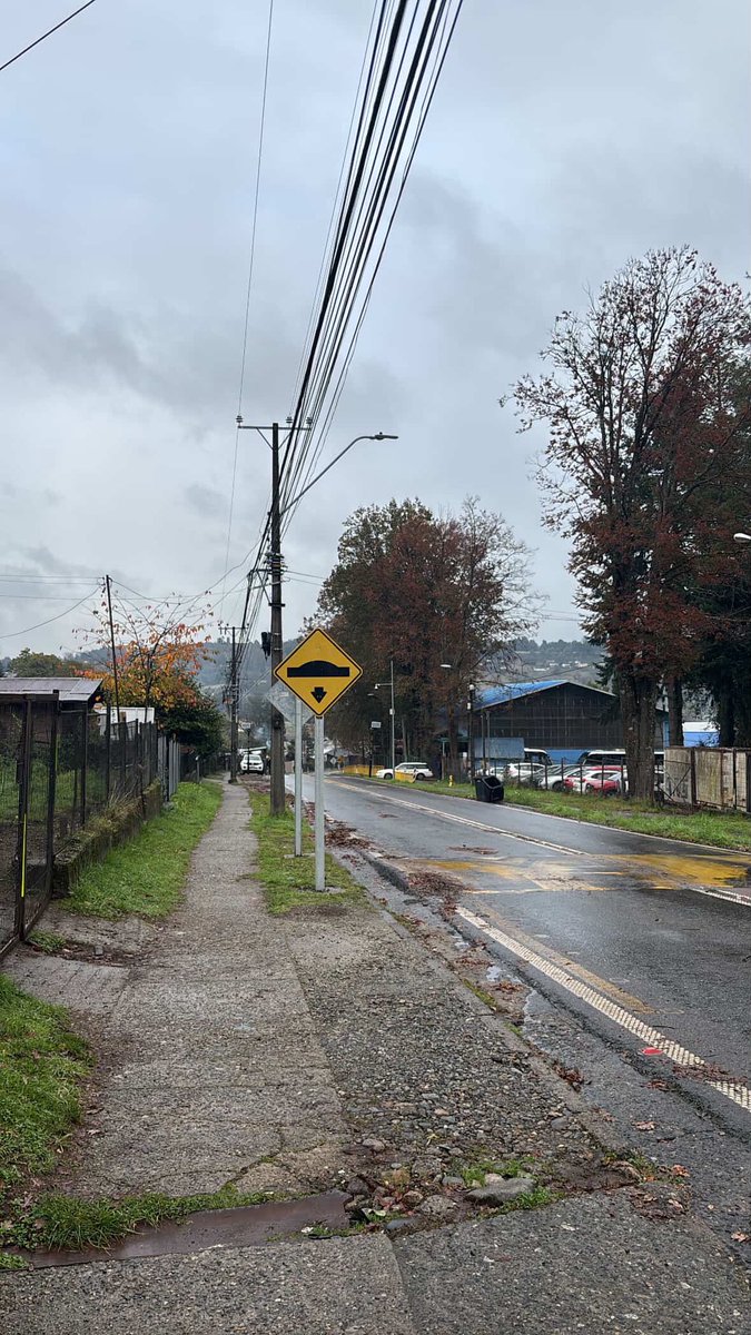 fruttiekoo's tweet photo. La gente que creen que ser mapuche es un insulto..? En fin, Chile, eres precioso de norte a sur. 

PD: Te amo panguipulli ❤️‍🩹 https://t.co/AjZNSDbPuA