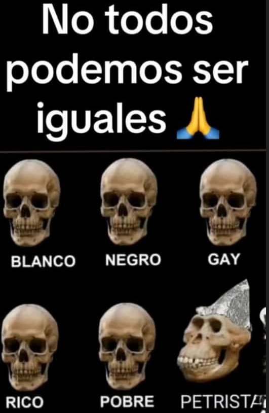 2015_luisfer's tweet photo. @petrogustavo Puras focas mamertas lamiendo el culo a su mesías intergaláctico, usted no tiene permiso para hacer presentaciones en la Uniatlantico, mequetrefe pusilánime, no hizo ni mierda y ahora quiere dar cátedra malparido. Cuánto pagaste a esas focas descerebradas para ese show? https://t.co/ofFnOcDWy7