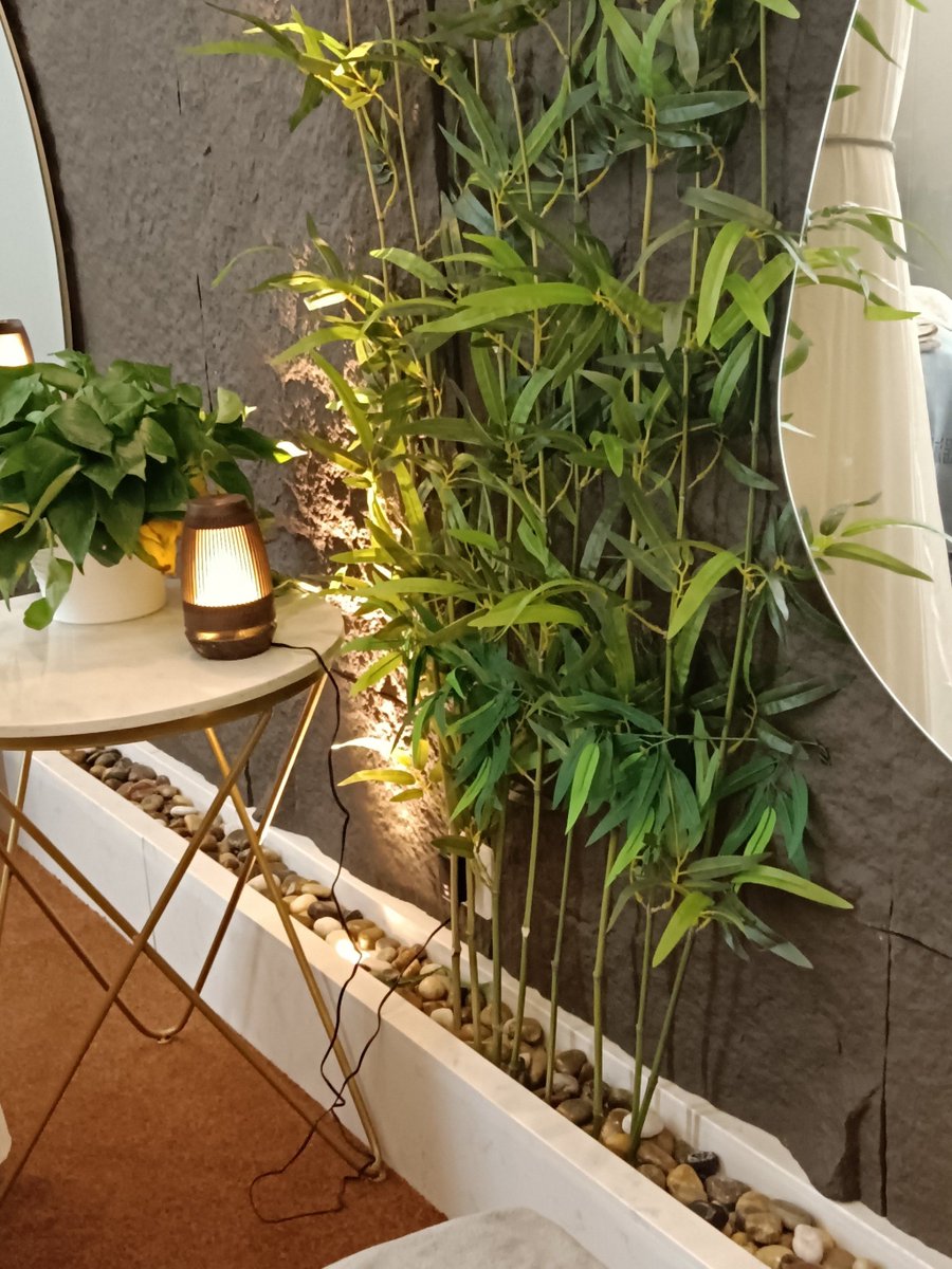 micha_byte3_71f's tweet photo. This upper fan, a cluster of bamboo-like plants, looks like a tiny fake forest tucked in a corner~ ， https://t.co/RG0RYp1Th4