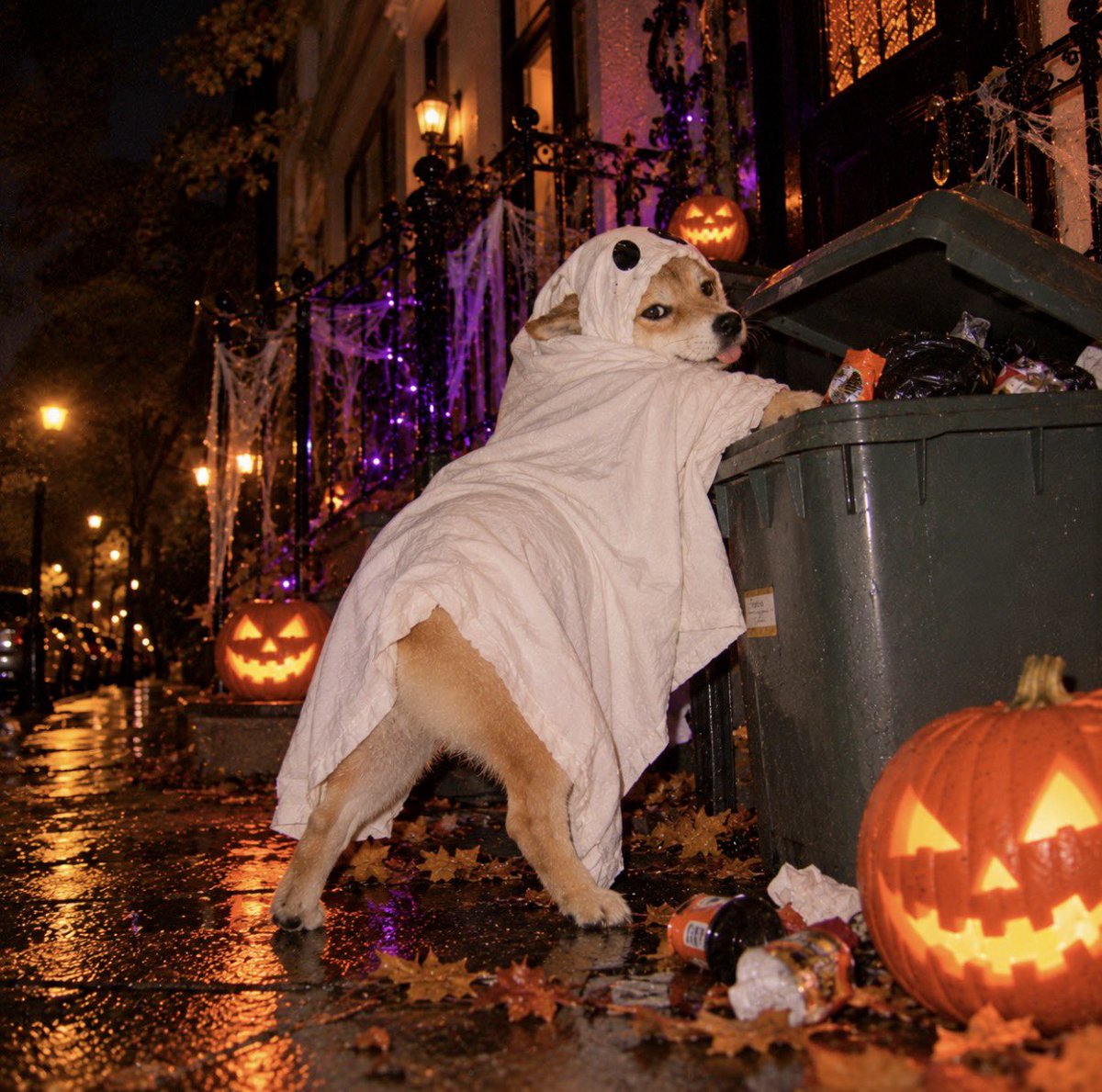 HalloWinuuu's tweet photo. bro said he was going trick or treating
caught him checking the liquidity instead

$HALLOWINU 🎃

#Halloween #Memecoin https://t.co/CbeYycgmIm