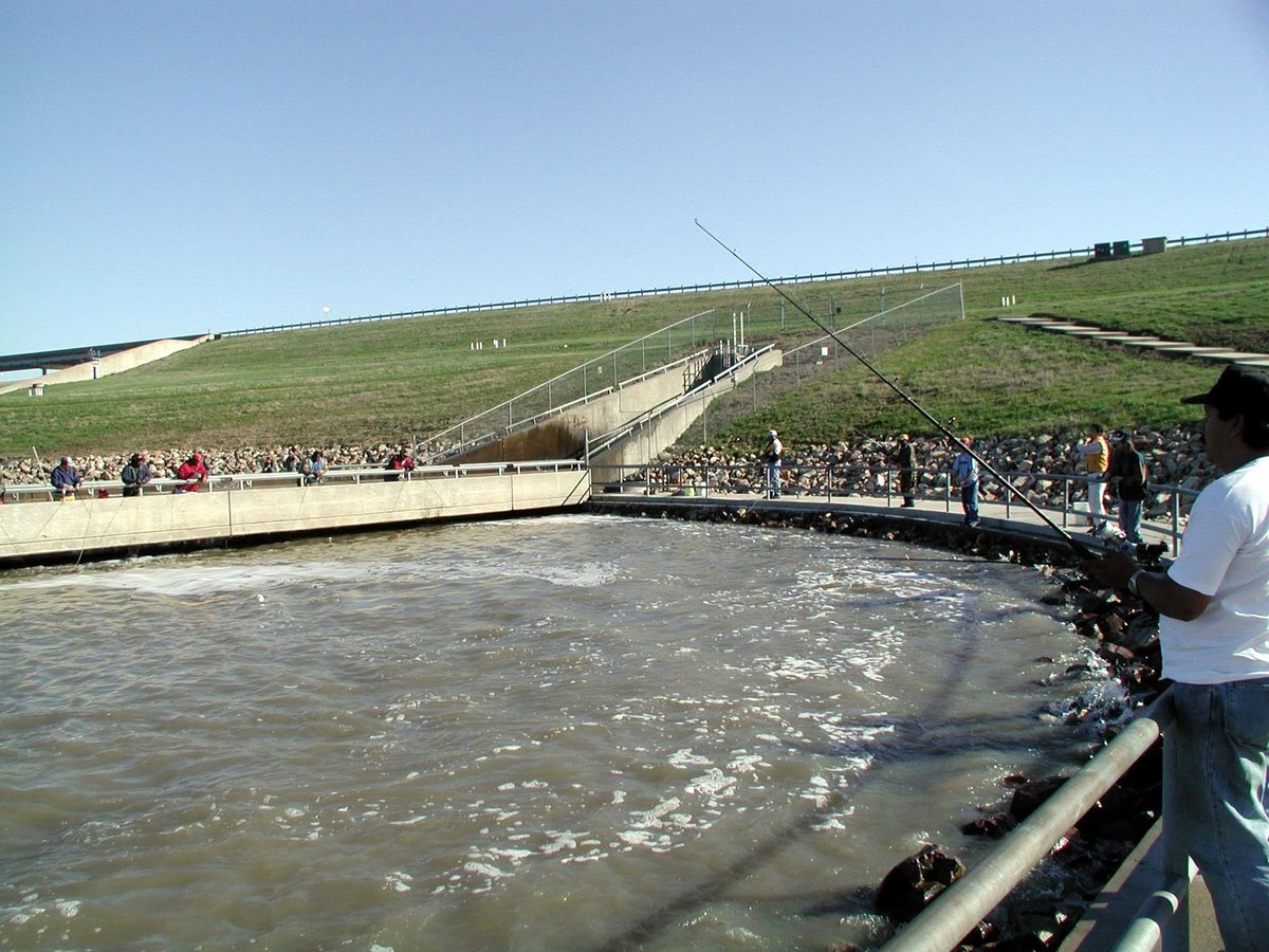 SwdUsace's tweet photo. WATER POWERING COMMUNITIES. Think dams just hold water? Since 1991, #USACE multipurpose infrastructure at Jim Chapman Lake delivers big for East Texas, backing municipal taps and mitigating downstream flood risks. https://t.co/0fyvX8NyiB