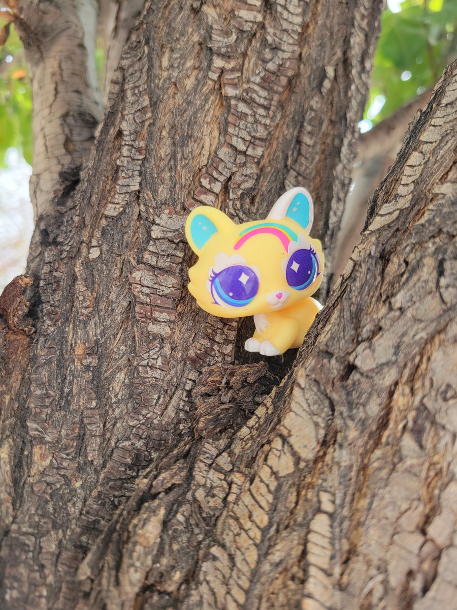 Flvtterbatz's tweet photo. Cat in tree someone save her https://t.co/r6FMyTNhe0