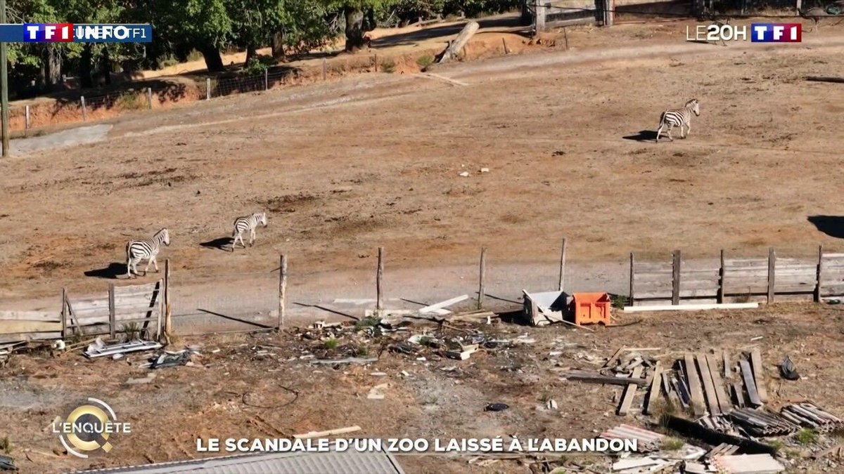 LCI's tweet photo. Le scandale d'un zoo laissé à l'abandon
➡️ https://t.co/Sp2xfvxdaT https://t.co/CJDkidQUVh