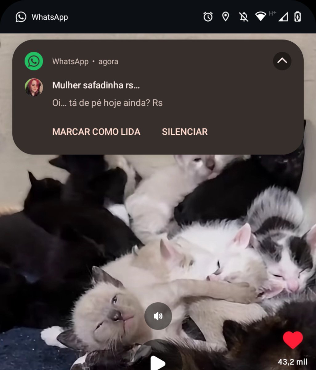 ItsNanaykase's tweet photo. AÍ PUTA QUE PARIU, EU TAVA VENDO VÍDEO DE GATOS COM MINHA VÓ MOONKASE https://t.co/8rgDMhwZHr