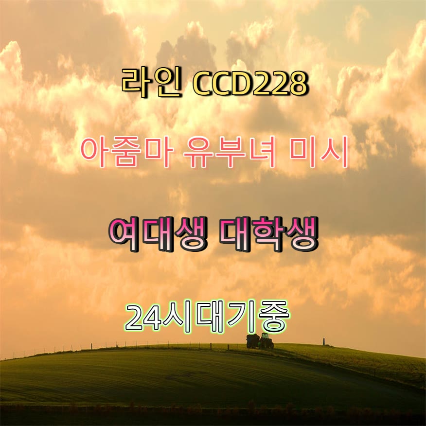 Dead2MeEmo's tweet photo. 🌉🚂🔜 #창원 #창원ㅈㄱ #조건 #창원조건 #ㄱㄷ #섹트 #ㅈㄱ #건오 https://t.co/Pcmo8MDDDH