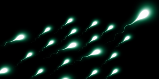 BCMFromtheLabs's tweet photo. #ImagingCytometry paired with #AI identifies ultrarare #sperm in men previously diagnosed with clinical #azoospermia  B. Stocks,@DrLipshultzTips et al #FertilitySterility @bcm_urology @bcmhouston  https://t.co/HuT7nq5Ng3 https://t.co/5CoYeRS6TP
