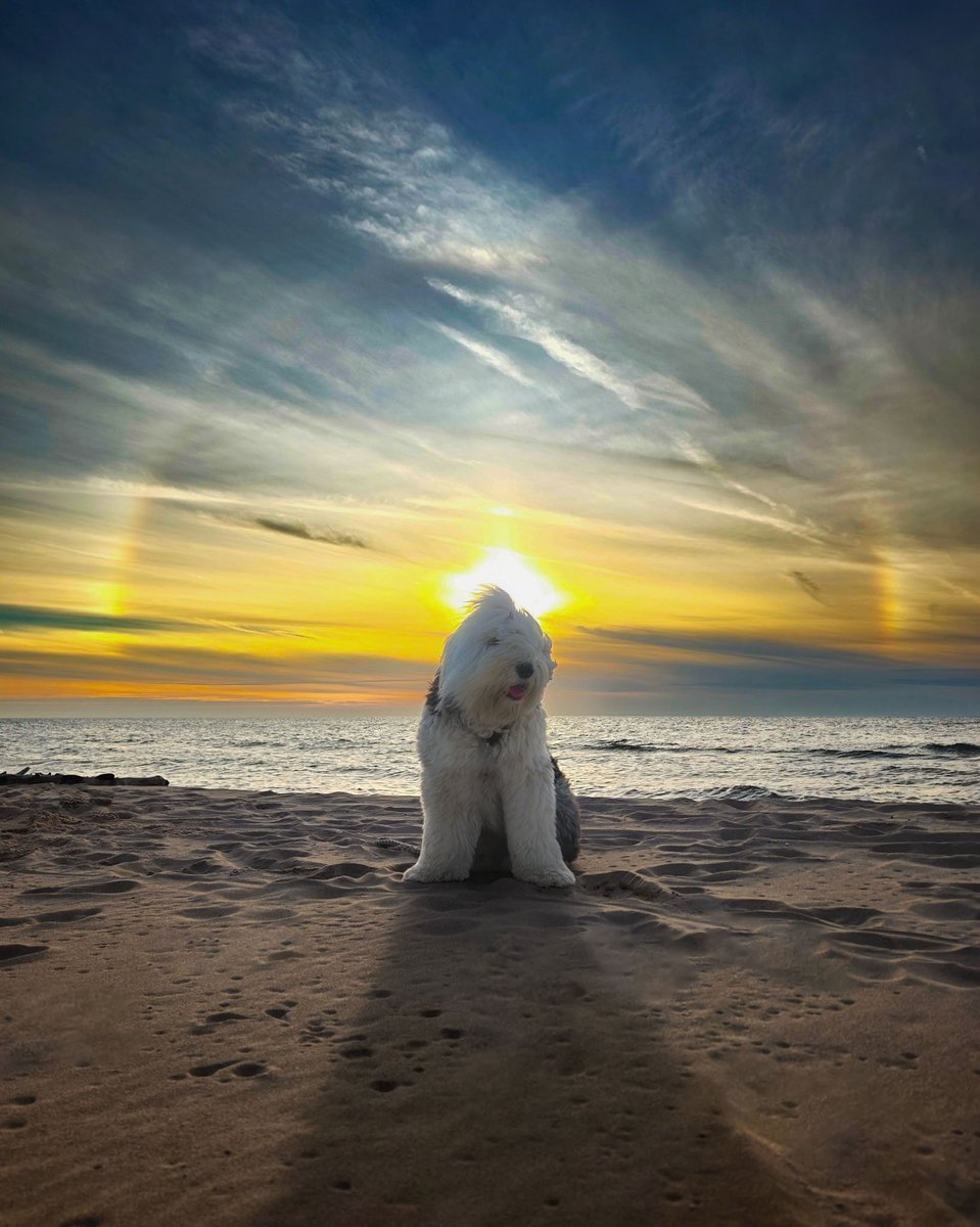 openshutter21's tweet photo. This was from the same hike over the dunes. I got Ryder to sit in the middle of a sun dog so he looks like he has a big halo. https://t.co/Olh26ZzHQB