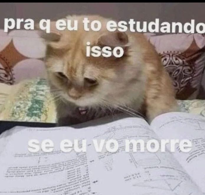 5gramasdememes tweet picture