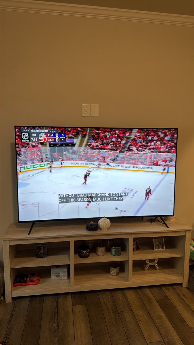 Refereemylife's tweet photo. Let’s go #FLAPanthers https://t.co/po17VfOGlj