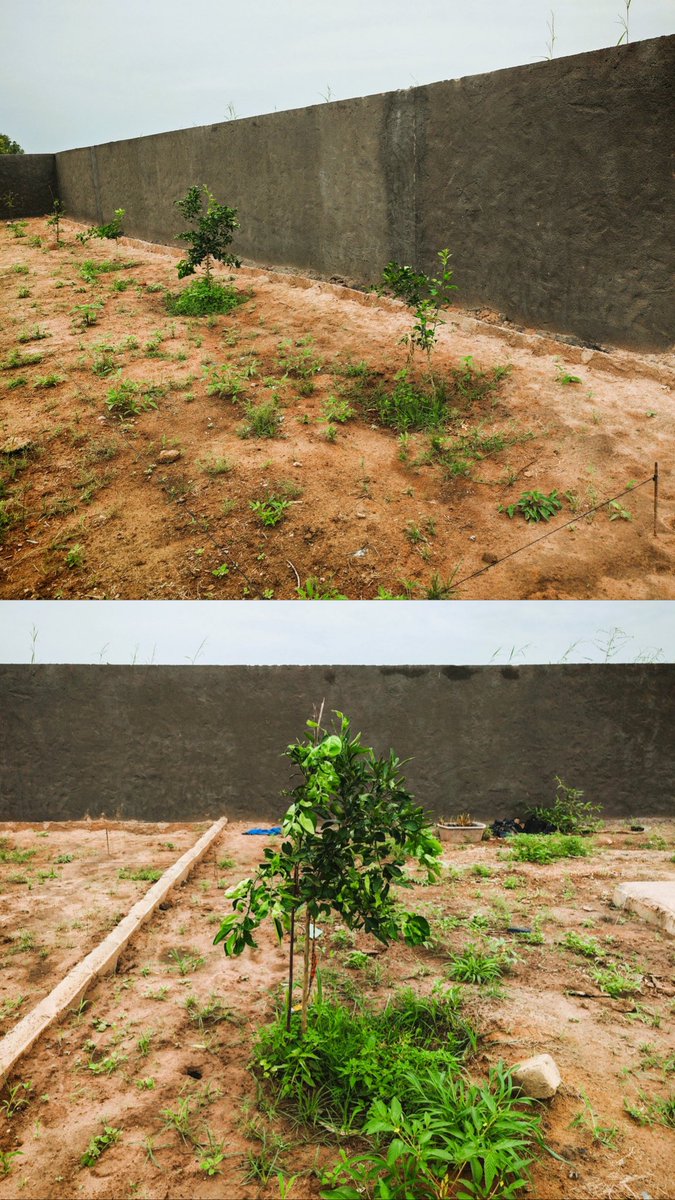 AmanaProjects's tweet photo. Al hamdulilLah, aujourd'hui nous vous faisons un compte-rendu de l'avancée des travaux de l'école de Koudy, dans le sud-est du Sénégal.
Qu'Allah facilite la suite et récompense en bien tous les donateurs ! https://t.co/9PSQ9BfGuP