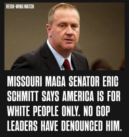 SpencerLeone's tweet photo. @LegalEagle @OversightDems @THERock927 @Suzierizzo1 @isaiahrmartin @marlene4719 @CREWcrew @VikingNation28 @MinnesotaDFL @mnhouseDFL @amyklobuchar @SenEricSchmitt @WhiteHouse @splcenter @elonmusk @VivekGRamaswamy @DineshDSouza @realBrandonGill @mrddmia @JDVance if something looks and acts like a duck, it is a duck. https://t.co/PvRm2CxwBm
