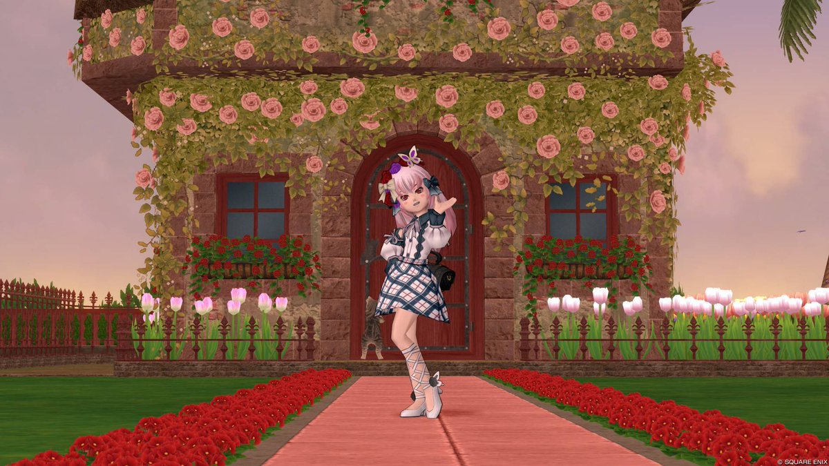 lazuridayo's tweet photo. おはリーヌ🐰𖤐⡱
昨夜のアプデ情報
スカスカだったらどうしようと思ったけど、盛りだくさんで安心しました(*ᴗˬᴗ)
今日からバージョンアップまで
準備で忙しくなりそうです(⁎•ᴗ‹｡) https://t.co/8RH2Ot9n8W