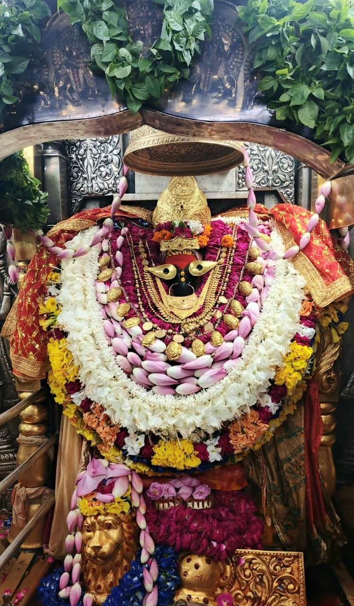 singhRN3's tweet photo. जय माँ विन्धवासिनी माँ🚩💐🌹🙏 https://t.co/8K9At2QA07