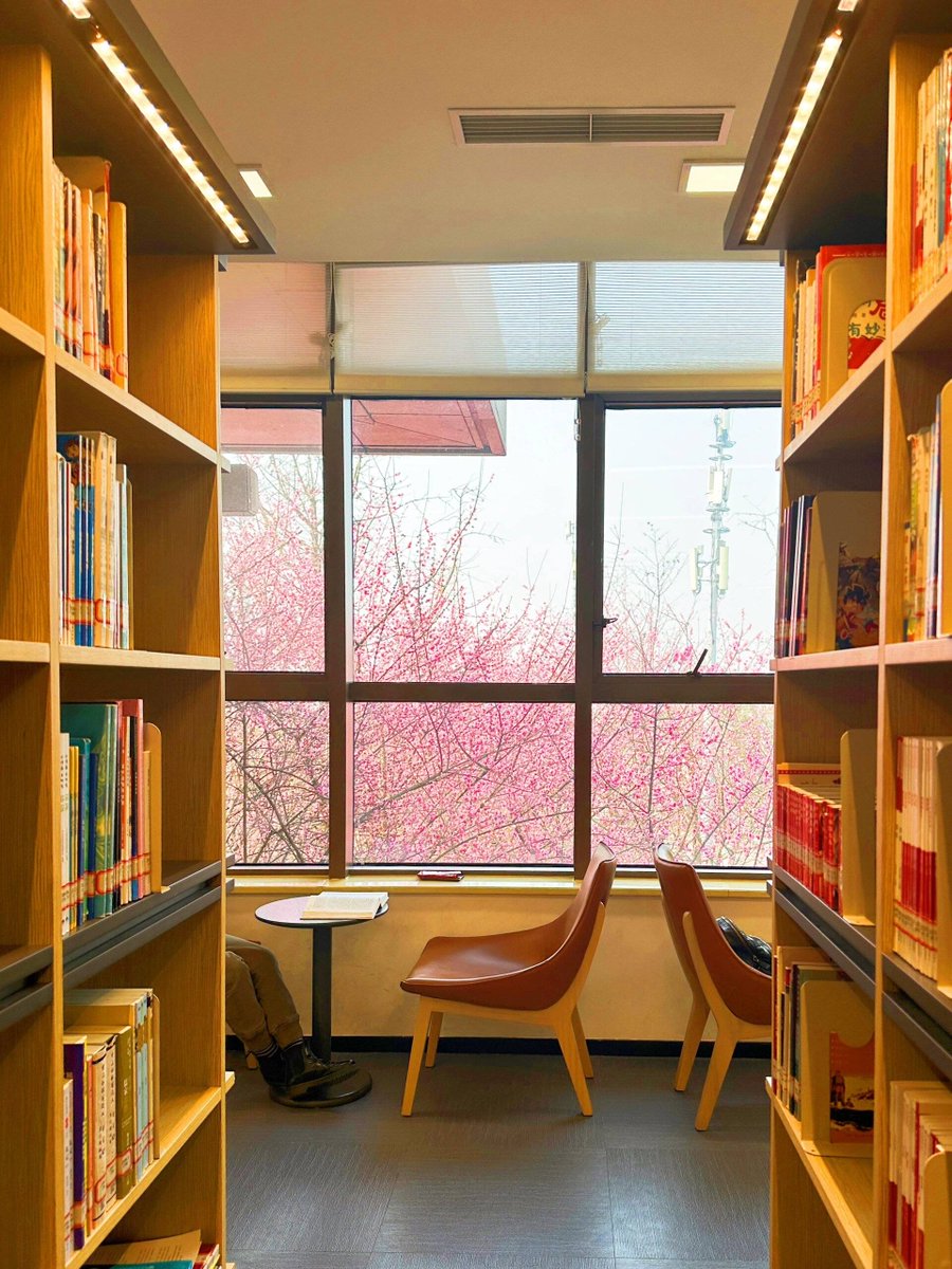 e64f4cd8467e413's tweet photo. [Shallow dry, the library shines bright with quiet warmth on lazy afternoons.]， https://t.co/C147HNFk0m
