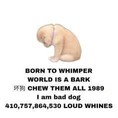 ratdogfm's tweet photo. CHEW THEM ALL WOOF WOOF WOOF https://t.co/Jofy4XTIYe