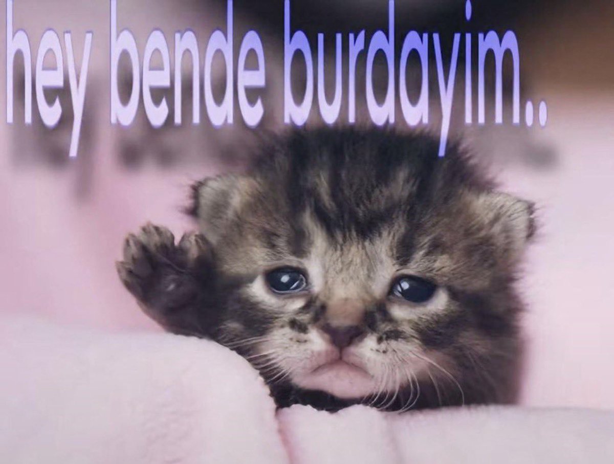yigiworld's tweet photo. balıkesir tatilimden (tatil demeye bin şahit kafam tatil dışı konulardaydı) beri bi gün dinlenmedim hadi hayırlısı ne gün burnout olacağım bakalım böyle eve işten 22 de gelmeye devam edersem çok uzun sürmez neyse en azından kafamı dağıtıyorum üstüne parası iyi baba mesleği neyse https://t.co/0R4JKAr4xV