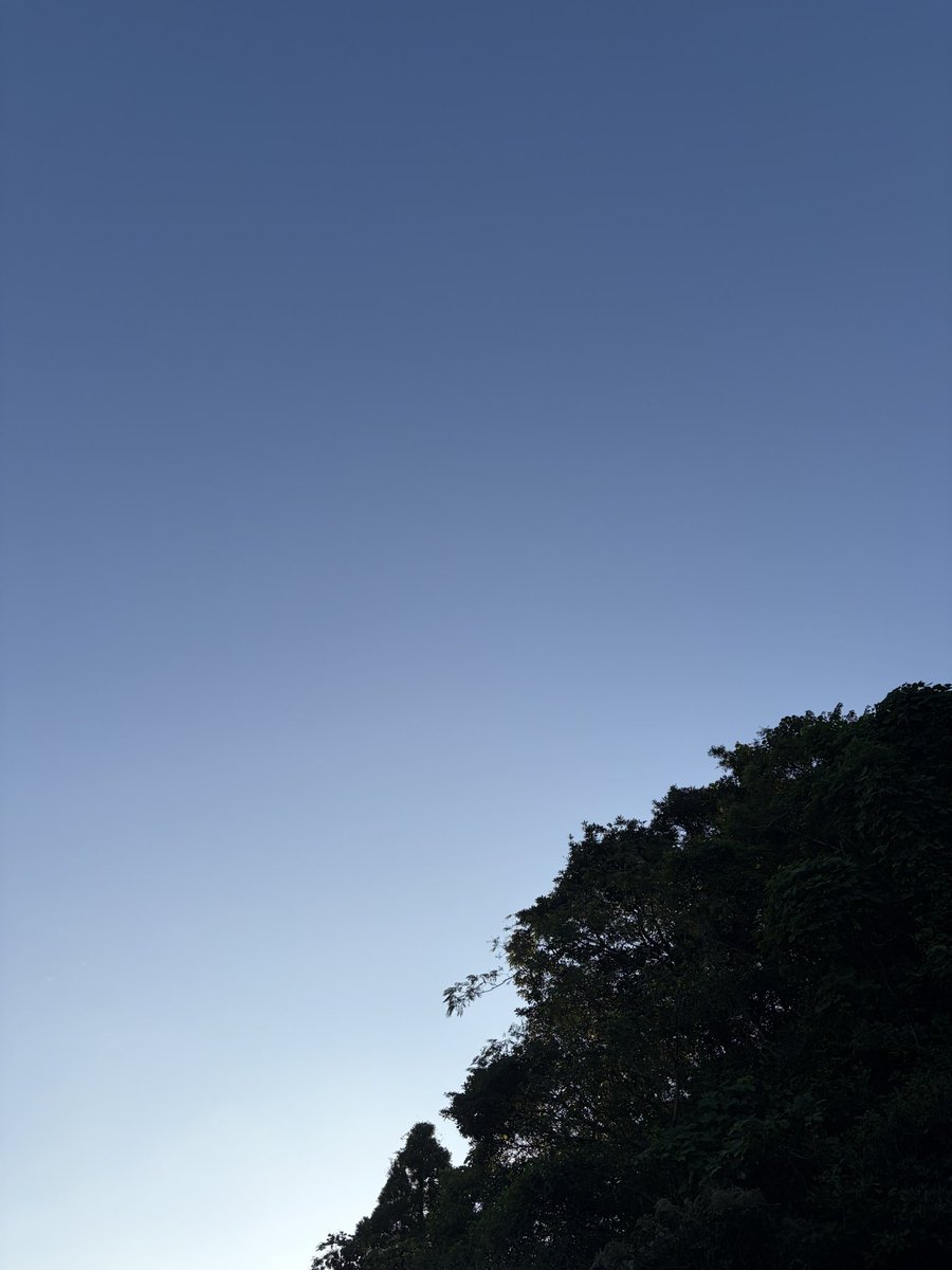 RX7FD3Shim's tweet photo. おはようさんです☀️

9月30日 くるみの日
今朝は22.0℃

朝の澄んだ青空に木々のシルエットが映えて、気持ちのいい眺めです

9月もラストです🍂早いですね〜

今日も良き日に👍
本日もよろしくでーす💖✨ https://t.co/JlrrtvwwPn