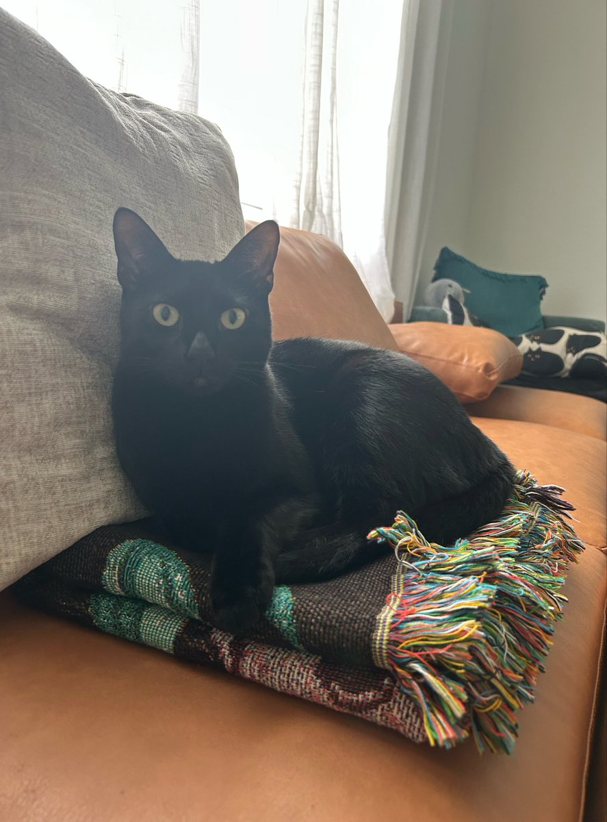 1singl3thread's tweet photo. baby loves the surprise song blanket https://t.co/K55XSbdhfy