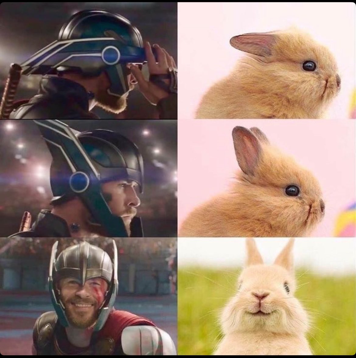 caty_komal's tweet photo. Thor in ragnarok https://t.co/CcPNxyhphO