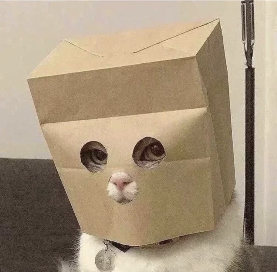 CryptoCurb's tweet photo. the founder of @Zcash just published an article on how to shield your $ZEC airdropped to you from holding $ZCAT on solana.

you are not bullish enough.

the bag stayz on. https://t.co/acJSQQh07t