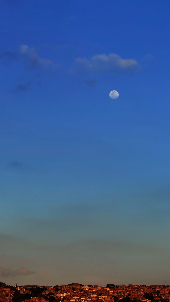 Arrested_Words's tweet photo. Todos quieren ser el sol para iluminar la vida de alguien más, pero ¿por qué no ser la luna, para brillar en la hora más oscura de alguien? https://t.co/ei7PowZyEJ