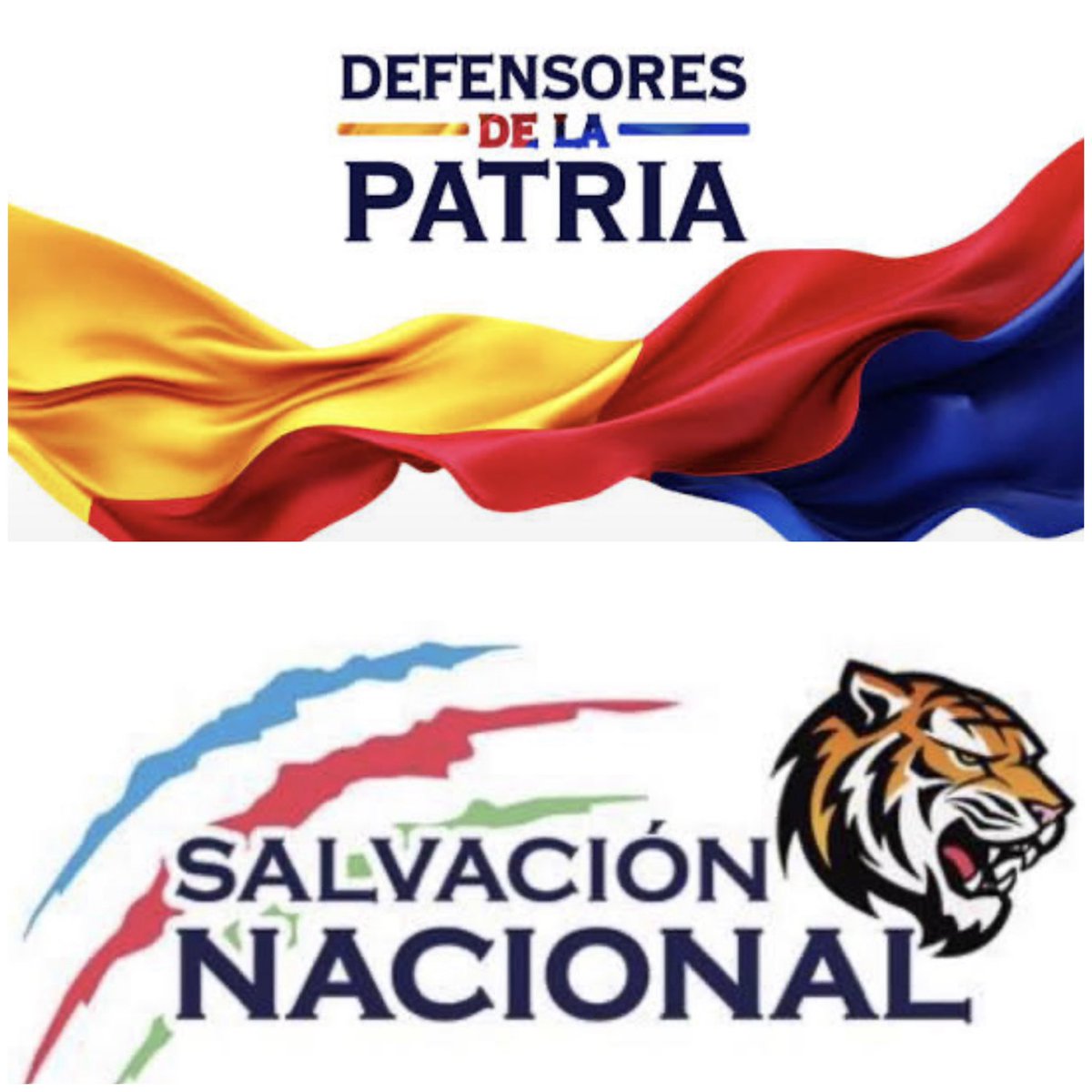 JErnestoPelaezT's tweet photo. ‼️ MI POSICIÓN ESTÁ MÁS QUE CLARA ‼️

Hoy 29 de septiembre de 2026 públicamente declaro mi voto a la Alcaldía de Bogotá por el candidato de @defensoresco y @MovSalvacionNal y ❗️NO LO DISCUTO CON NADIE❗️

❗️VIVA CRISTO REY❗️ https://t.co/DXTAtM6S7G