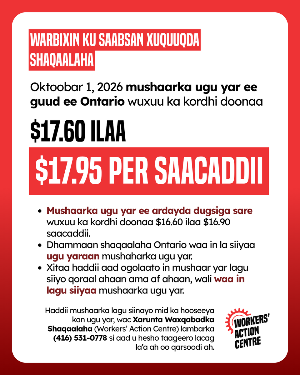 WorkersAC's tweet photo. ✊ Join the fight for higher wages: https://t.co/iMWRgX36Gg

#DecentWork #StopWageTheft #WorkersRights #Ontario https://t.co/lXJvCV2qcJ