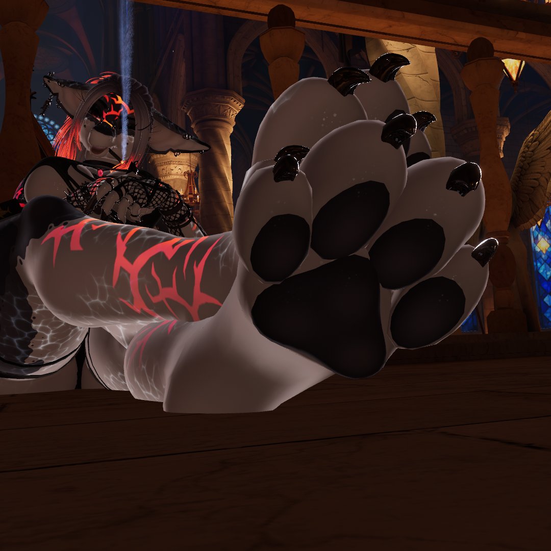sharkycereal's tweet photo. we love paws 🐾🦈 https://t.co/tP8P1d5e69