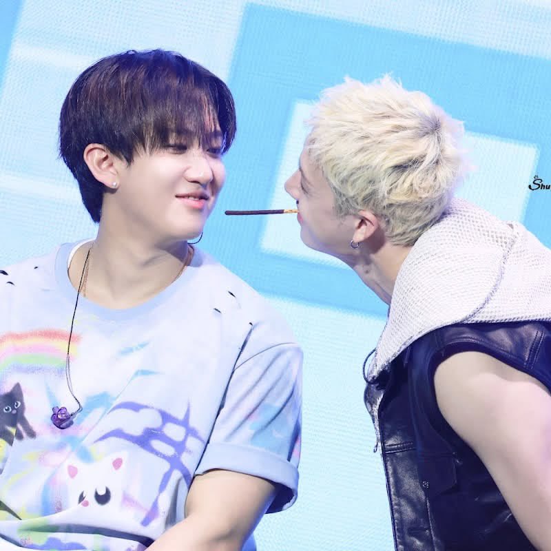 croconutsprite's tweet photo. binchan…. save me…. save me binchan……. binchan save me….. https://t.co/DJzIbjIVSR