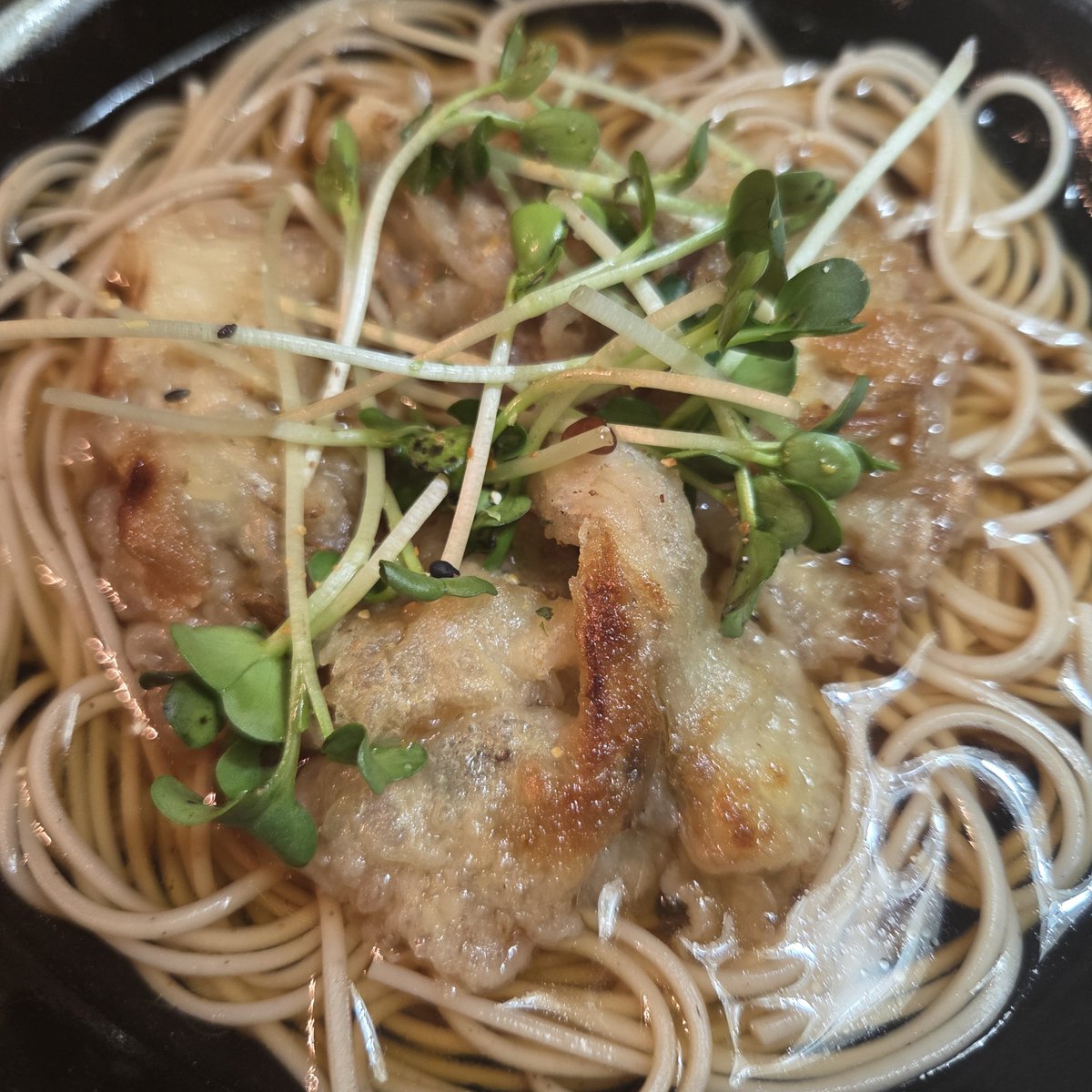 yuritny's tweet photo. グラノーラな朝が続きましたが
今朝は、涼しかったので
お蕎麦に舞茸天をのせました。
茄子は、ボリューミーになるので揚げませんでした(笑)

お蕎麦は、卯月製麺の【ほっそり細蕎麦】が切れて【馨蕎麦】🎶
@uzuki_seimen https://t.co/tBG7hJjcFh