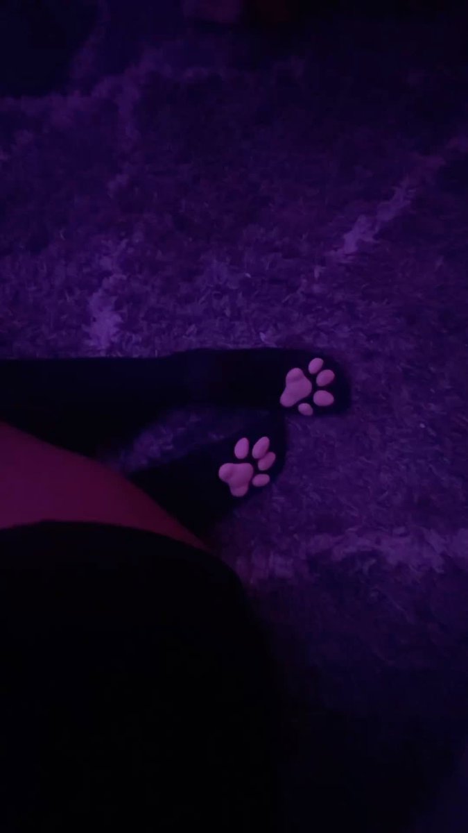 bwnnigrl's tweet photo. dont know about  yall but i love my pawsocks. 

dms open !  
moot me n be a cute bunni ! https://t.co/X0cy1ptr4n