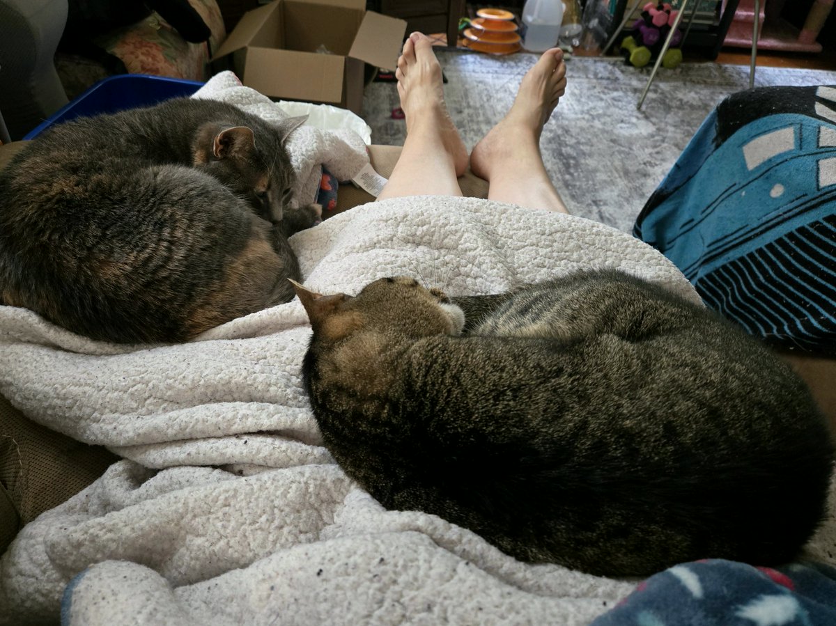 fujiimaayarg's tweet photo. The weather is getting cooler and my favorite time starts again!!!
#PetsOfTwitter #AMRDeSaisonXMiu https://t.co/jia0Qiq0Fg