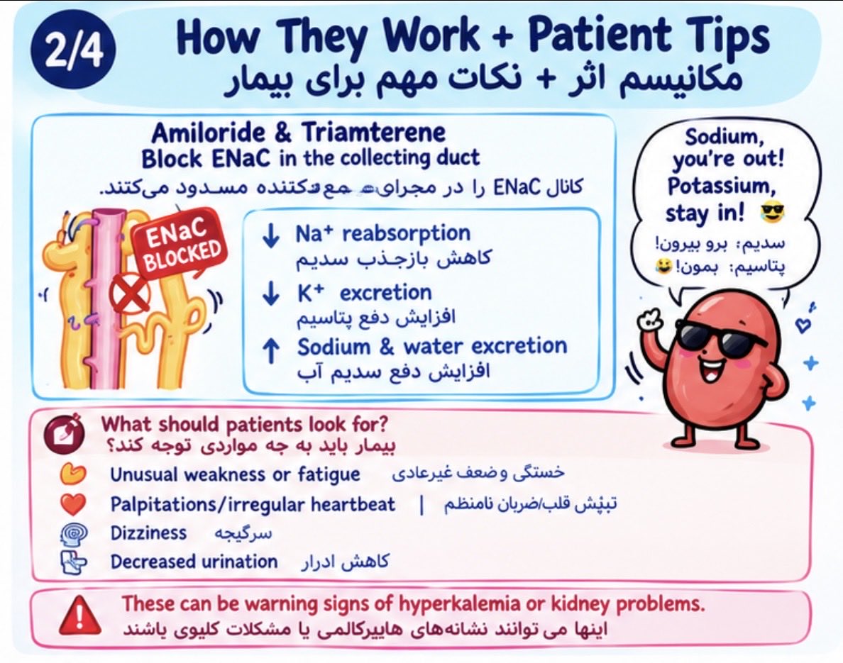 Nasrinart62's tweet photo. 💊 More BP meds, more mechanisms!

Potassium-sparing + loop diuretics &amp; Aliskiren 💦🧂

👩‍⚕️ Pharmacist tip: Dose + kidneys + potassium + interactions = don’t skip! 💜

فشار خون فقط یک راه نداره! 💊

#Hypertension #Pharmacist #MedicationSafety #PharmacyTips #MedicationMadeSimple https://t.co/tv5HaN8U2K