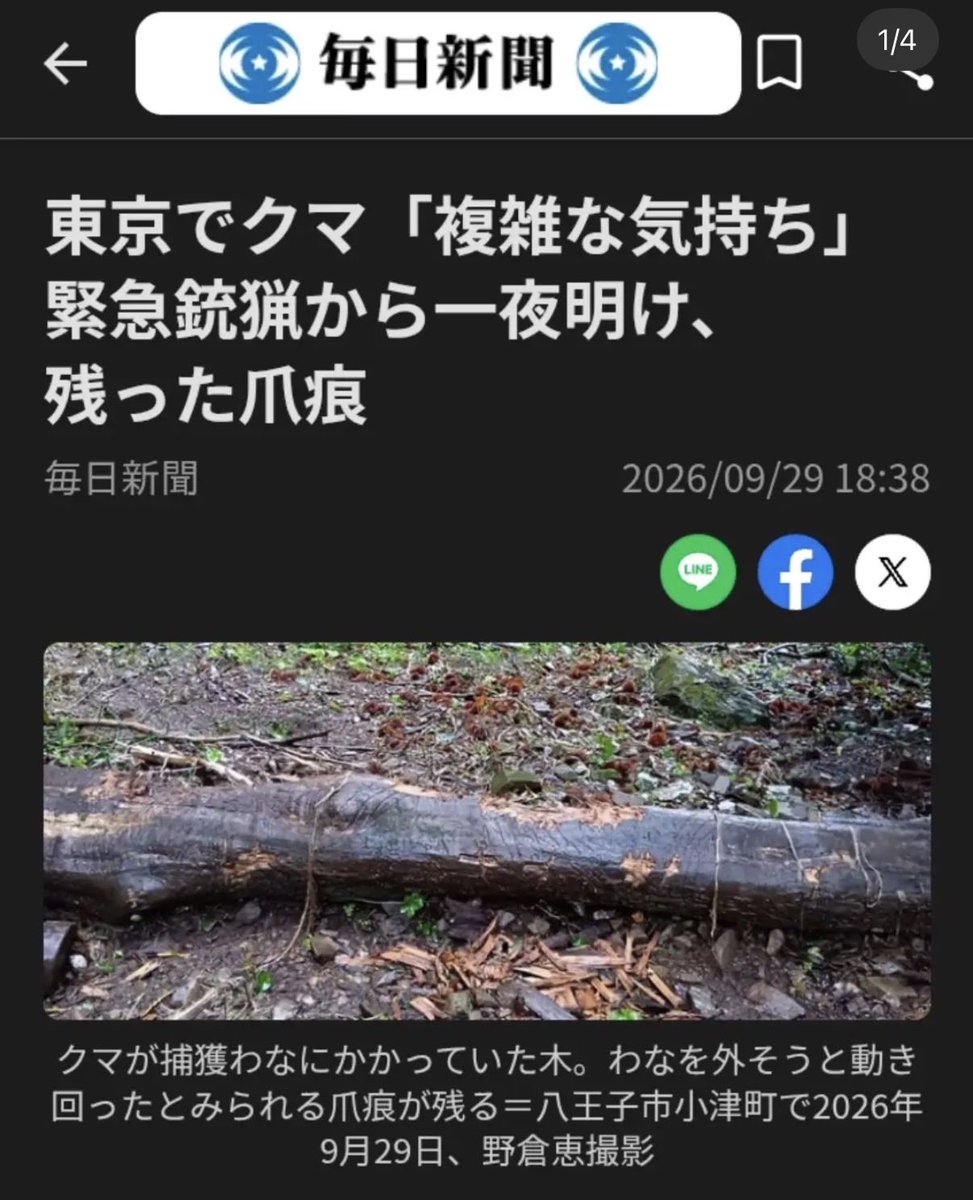 e71ALZdPBJTGvS7's tweet photo. 八王子の熊…ごめんなさい
くくり罠から離れるために…
どんな熊だって罠から逃げたい生きたかった熊たちがいた。もうこんなこと
やめようよ　#クマを守ろう https://t.co/pDMmdlFDqO