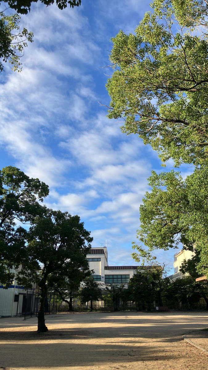keikimonkeydan's tweet photo. やっと晴れた☀️
あさんぽ久しぶり！！ https://t.co/S3q8Pc2a7h