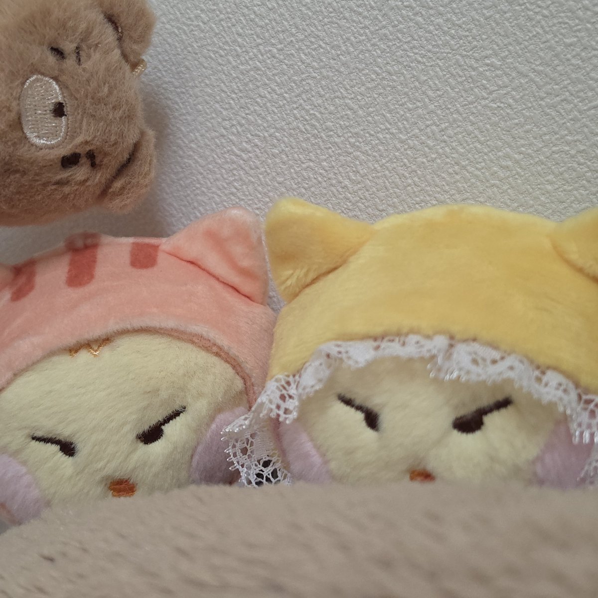 nim_fore's tweet photo. 잘잣어? https://t.co/b92uFMprWJ