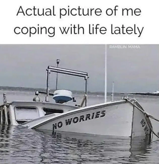 meme.jpg (@meme__jpg) / X