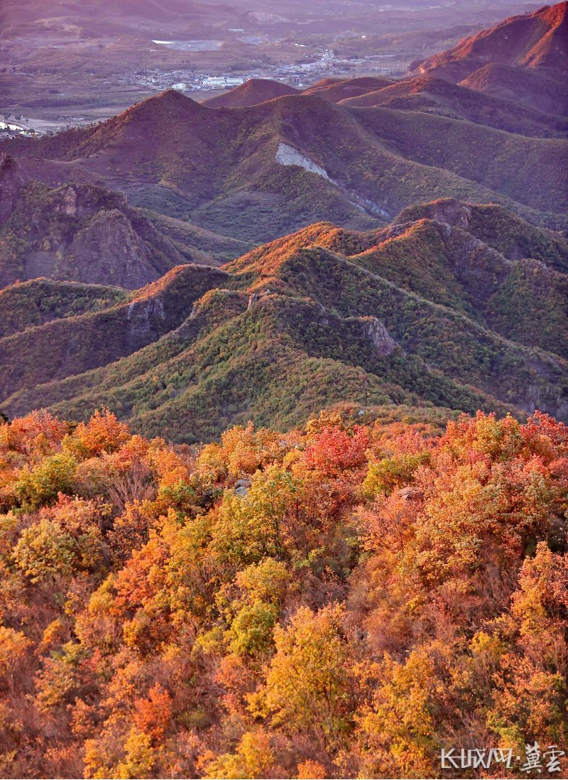selp0100's tweet photo. [In Jingzhang's eighth month, crisp autumn vibes fill the air!]， https://t.co/ZLBvX9jebi