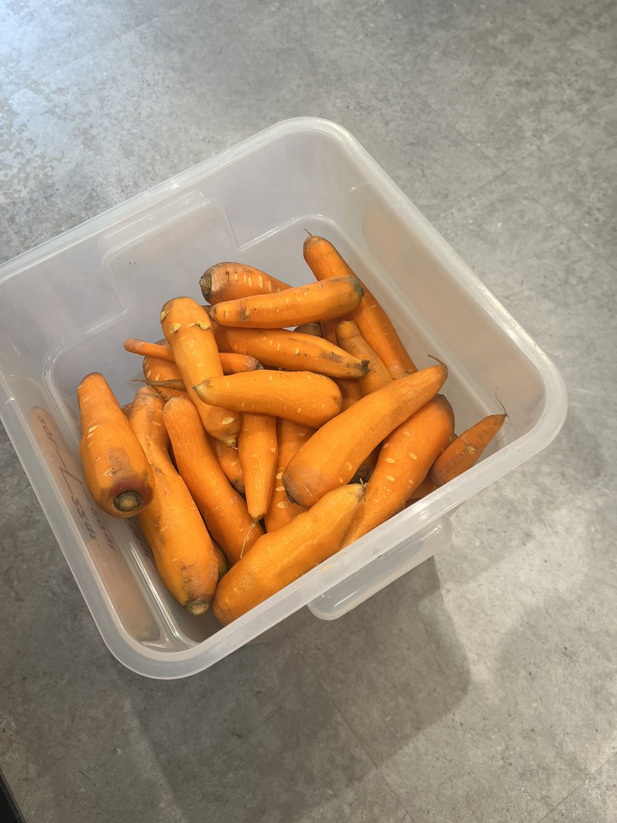 JimWatsonOttawa's tweet photo. Carrot duty today at Sheppards of Good Hope!  Please consider volunteering https://t.co/0YrVGTSxT1