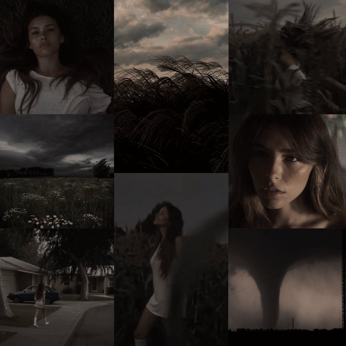 wanringsigns's tweet photo. spinnin 🌾 https://t.co/rmxCEp6Ivq